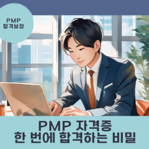 PMP 자격증 시험 준비 시각화 패키지